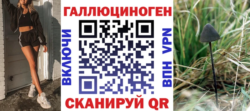 наркота  Невельск  Псилоцибиновые грибы GOLDEN TEACHER 
